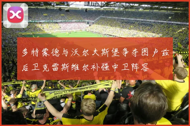 多特蒙德与沃尔夫斯堡争夺图卢兹后卫克雷斯维尔补强中卫阵容